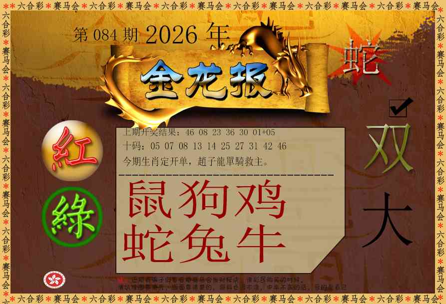084期金龙报[图]